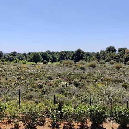 Appartement Golf Saint Thomas - Belle Residence Beziers Bagian luar foto