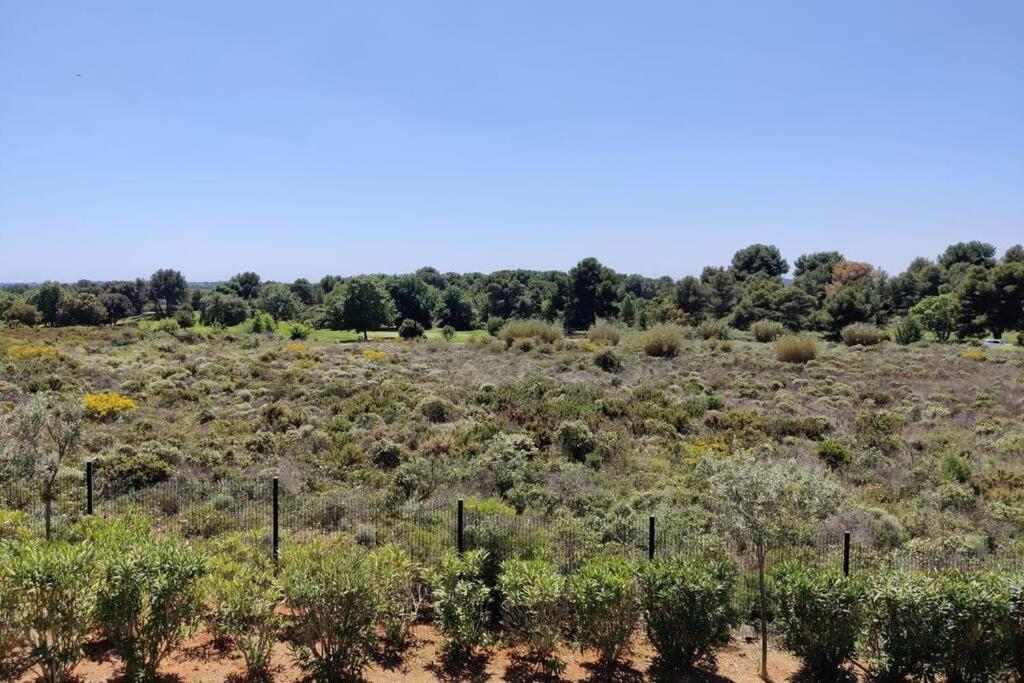 Appartement Golf Saint Thomas - Belle Residence Beziers Bagian luar foto