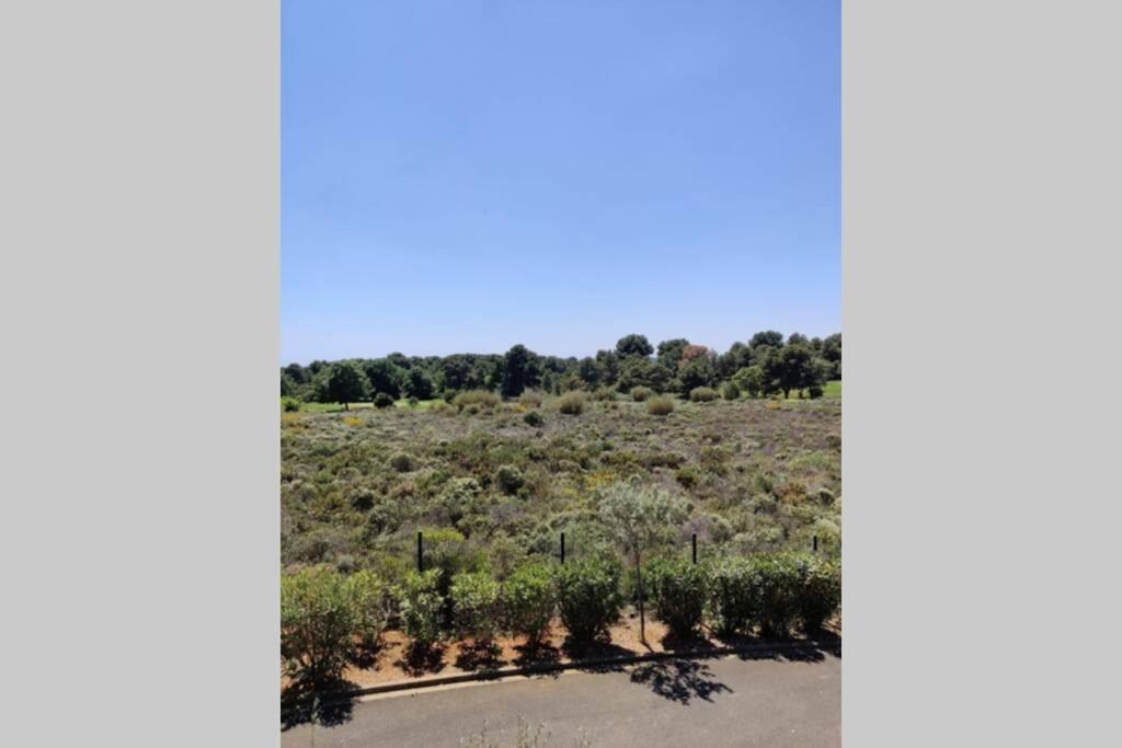 Appartement Golf Saint Thomas - Belle Residence Beziers Bagian luar foto